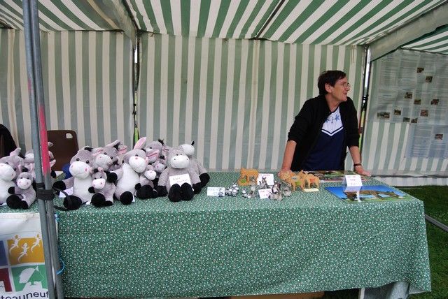 vide grenier (22).jpg